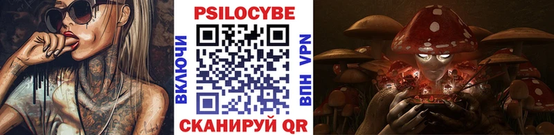 наркотики  Тайга  Псилоцибиновые грибы Cubensis 